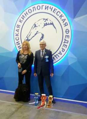 19.03.2017 International Dog Show - EURASIA. The President's Cup. Matthias Rex Vahur. Владелец Мельникова Елена. Судья Jean Paul Kerihuel (France)!