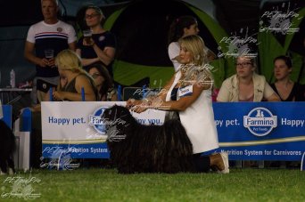 matthias rex kennel, matthias rex vahur, pulimatthiasrex matthias rex kennel, matthias rex vahur выставка бис